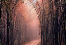 B体育官网：[国]国进行赛前踩场 伊万科维奇：不会改变打法.