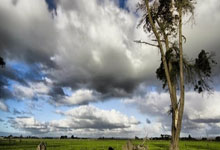 B体育官网：[国]国进行赛前踩场 伊万科维奇：不会改变打法.