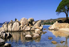 B体育官网：中超前瞻：国安PK浙江争主场首胜 沪上德比预演争冠.